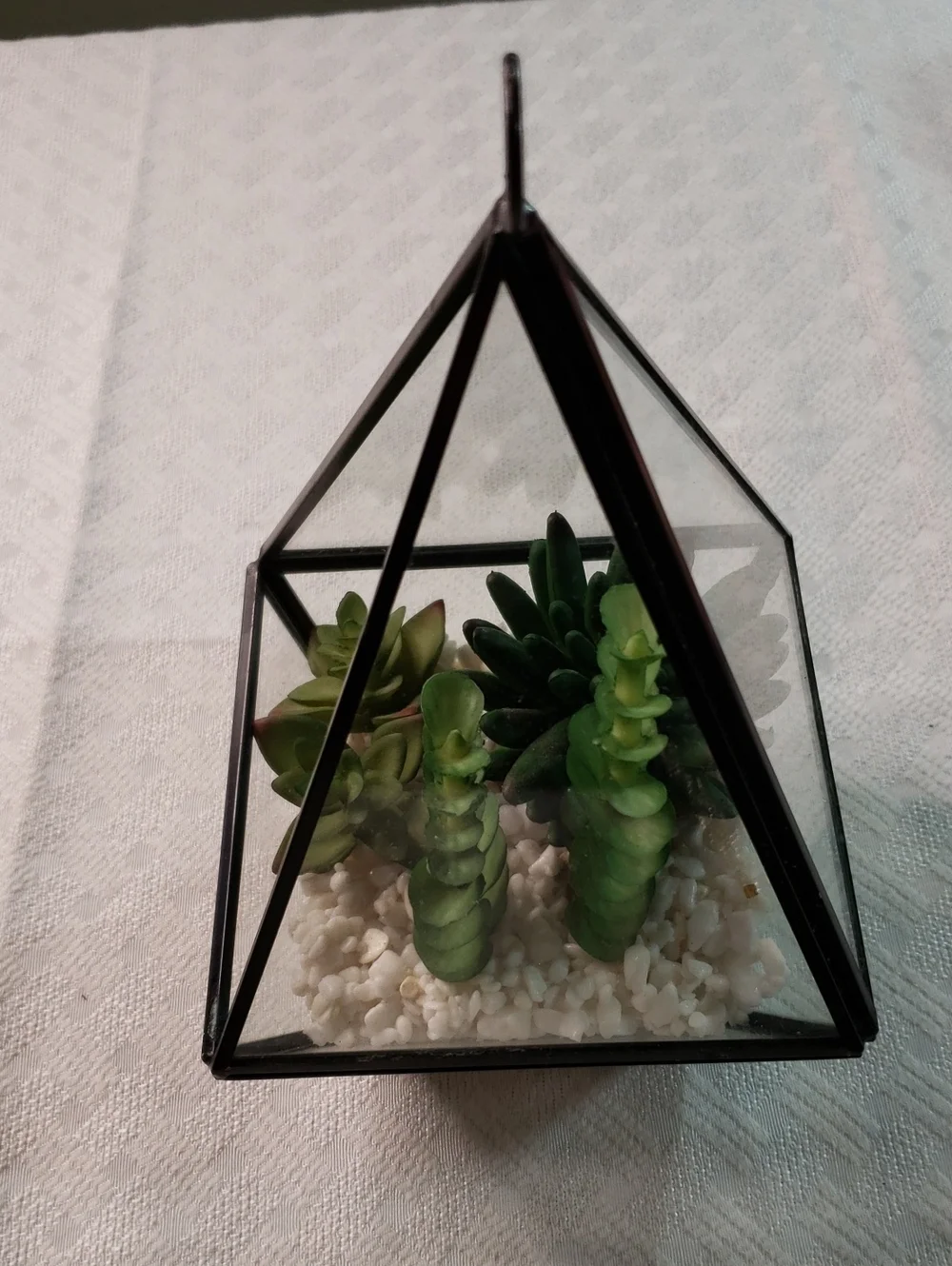 Source Unknown Black Pyramid Glass Terrarium with Green Faux Succulents